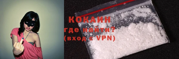 индика Армянск
